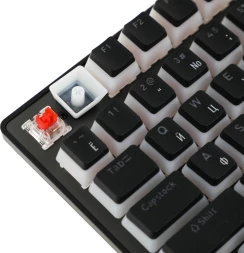 Клавиатура Acer Nitro OKW303 механическая черный/серый USB Multimedia for gamer LED (ZL.KBDCC.01D)