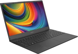 Ноутбук Digma EVE A5820 Ryzen 3 3200U 8Gb SSD256Gb AMD Radeon Graphics 15.6&amp;quot; IPS FHD (1920x1080) Windows 11 Pro black WiFi BT Cam 4500mAh (DN15R3-8CXW02)