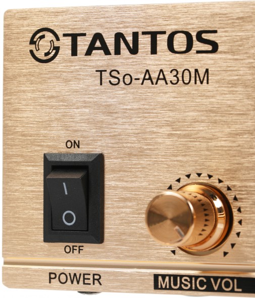 Усилитель Tantos TSo-AA30M выход 100Вт / 30Вт (00-00025068)