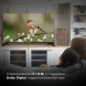 Телевизор LED Hyundai 43&amp;quot; H-LED43BU7006 Android TV Frameless Metal черный 4K Ultra HD 60Hz DVB-T DVB-T2 DVB-C DVB-S DVB-S2 USB WiFi Smart TV