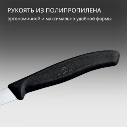 Нож кухонный Victorinox Swiss Classic (6.7603) стальной для чистки овощей и фруктов лезв.80мм прямая заточка черный