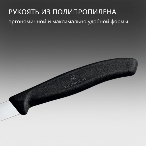 Нож кухонный Victorinox Swiss Classic (6.7603) стальной для чистки овощей и фруктов лезв.80мм прямая заточка черный