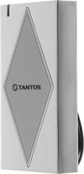 Считыватель карт Tantos TS-RDR-E (00-00043074) внутренний/уличный антивандальный