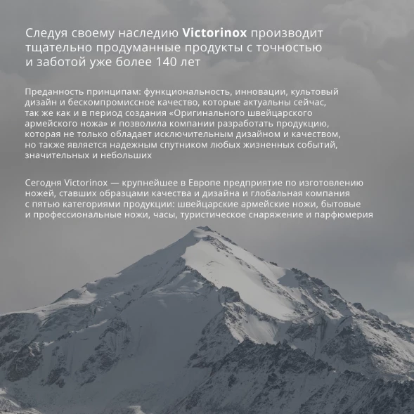 Швейцарская карта Victorinox SwissCard Lite (0.7333.T3) черный полупрозрачный коробка подарочная