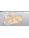 Ключ активации Аскон КОМПАС-3D v25 Home 1 устройство 1 год (ОО-0072253)