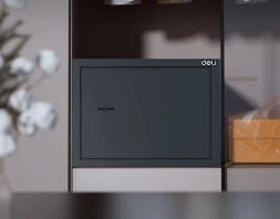 Сейф мебельный Deli Srock ET561 200x310x200мм ключевой