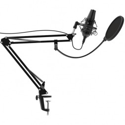 Микрофон проводной Ritmix RDM-180 2.5м черный