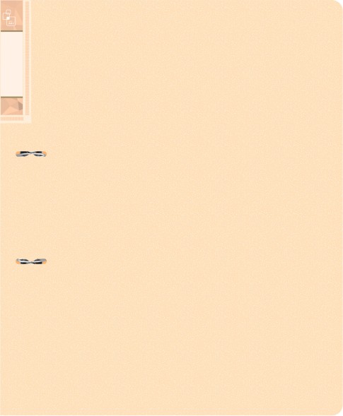 Папка на 2-х D-кольцах Бюрократ Gems GEM0812/2RCREAM A4 пластик 0.7мм кор.32мм торц.карм с бум. встав кремовый жемчуг