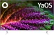 Телевизор LED BBK 43&amp;quot; 43LEX-7247/FTS2C (W) Яндекс.ТВ белый FULL HD 60Hz DVB-T2 DVB-C DVB-S2 USB WiFi Smart TV (RUS)