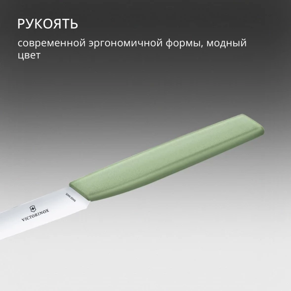 Нож кухонный Victorinox Swiss Modern (6.9006.1042) стальной универсальный лезв.100мм прямая заточка зеленый