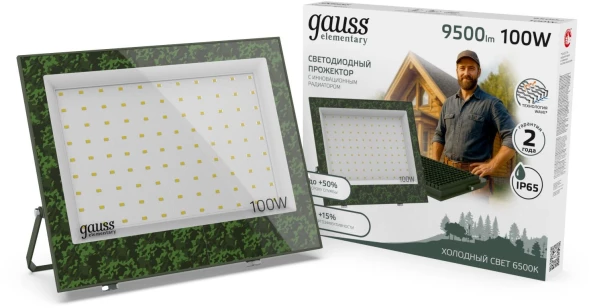 Прожектор уличный Gauss Elementary GFD006 светодиодный 100Втзеленый