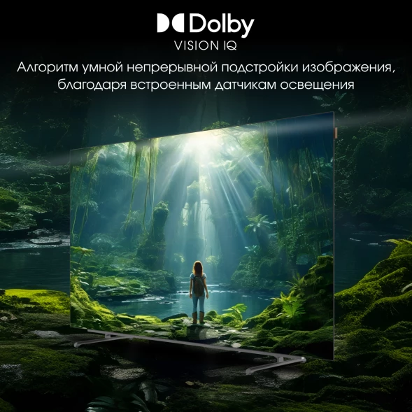 Телевизор OLED Digma Pro 65&amp;quot; OLED 65M Google TV Frameless черный/серебристый 4K Ultra HD 120Hz DVB-T DVB-T2 DVB-C DVB-S DVB-S2 USB WiFi Smart TV