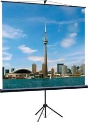 Экран на треноге Lumien 67&amp;quot; 120x120см Eco View LEV-100116 1:1 напольный рулонный черный