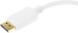 Переходник DisplayPort (m) DVI (f) белый