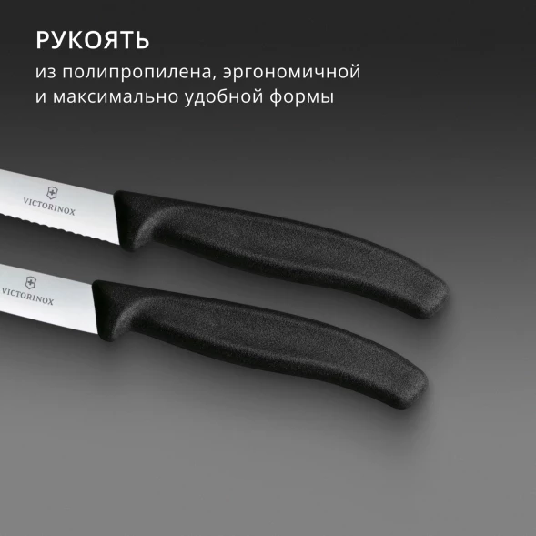 Набор ножей Victorinox Swiss Classic 6.7793.2 компл.:2предм. черный европодвес