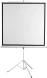 Экран Digis 112&amp;quot; 200x200см Kontur-D DSKD-1106 1:1 напольный рулонный