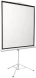 Экран Digis 112&amp;quot; 200x200см Kontur-D DSKD-1106 1:1 напольный рулонный