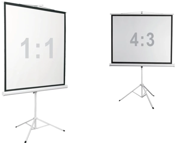 Экран Digis 112&amp;quot; 200x200см Kontur-D DSKD-1106 1:1 напольный рулонный