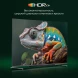 Телевизор QLED Digma Pro 65&amp;quot; QLED 65L Google TV Frameless черный/серебристый 4K Ultra HD 120Hz HSR DVB-T DVB-T2 DVB-C DVB-S DVB-S2 USB WiFi Smart TV