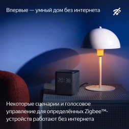 Умная колонка Yandex Станция Миди YNDX-00054PNK Алиса малиновый 24W 1.0 BT/Wi-Fi 10м