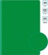Папка с 20 прозр.вклад. Бюрократ -BPV20GRN A4 пластик 0.6мм торц.карм с бум. встав зеленый