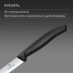 Нож кухонный Victorinox Swiss Classic (6.7803) стальной столовый для овощей лезв.110мм прямая заточка черный