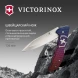 Нож перочинный Victorinox Evoke Alox (0.9411.D221) 136мм 5функц. синий/красный подар.коробка
