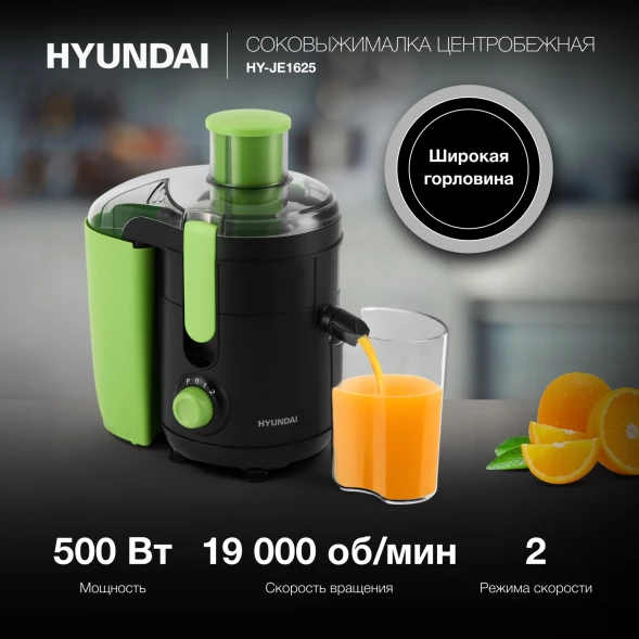 Соковыжималка центробежная Hyundai HY-JE1625 500Вт рез.сок.:450мл. черный/зеленый