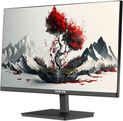 Монитор RDW Computers 23.8&amp;quot; RDW2401K черный IPS 4ms 16:9 HDMI M/M матовая HAS Piv 1000:1 300cd 178гр/178гр 1920x1080 100Hz VGA DP FHD 1.7кг (RUS)