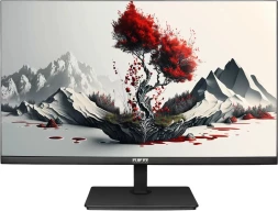 Монитор RDW Computers 23.8&amp;quot; RDW2401K черный IPS 4ms 16:9 HDMI M/M матовая HAS Piv 1000:1 300cd 178гр/178гр 1920x1080 100Hz VGA DP FHD 1.7кг (RUS)