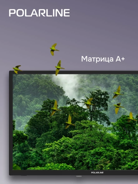 Телевизор LED PolarLine 24&amp;quot; 24PL12TC черный HD 60Hz DVB-T DVB-T2 DVB-C DVB-S2 USB (RUS)