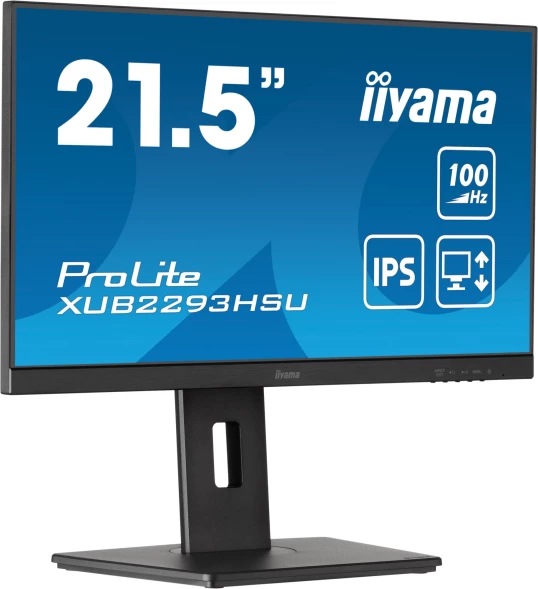 Монитор Iiyama 21.5&amp;quot; ProLite XUB2293HSU-B7 черный IPS LED 16:9 HDMI M/M матовая HAS Piv 300cd 178гр/178гр 1920x1080 100Hz DP FHD USB 3.9кг