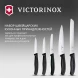 Набор ножей кухон. Victorinox Swiss Classic 6.7133.5G компл.:5предм. черный подар.коробка