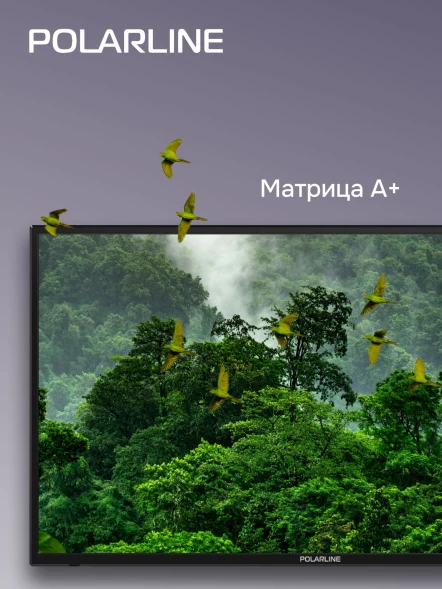 Телевизор LED PolarLine 32&amp;quot; 32PL54TC черный FULL HD 60Hz DVB-T DVB-T2 DVB-C USB (RUS)