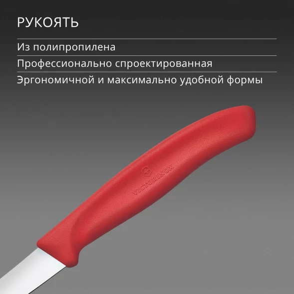 Нож кухонный Victorinox Swiss Classic (6.7301.C1) стальной для чистки овощей и фруктов лезв.60мм прямая заточка красный