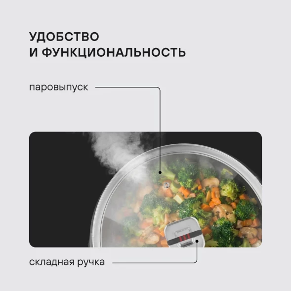 Крышка Rondell Stripes RDA-1622 d=28см крыш.прозрачный руч.серая