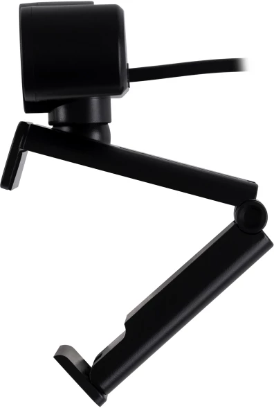 Камера Web Оклик OK-C031FH черный 2Mpix (1920x1080) USB2.0 с микрофоном