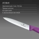 Нож кухонный Victorinox Swiss Classic (6.7705.C1) стальной универсальный для чистки овощей и фруктов лезв.100мм прямая заточка пурпурный