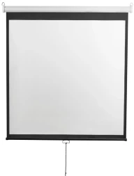 Экран Digis 248x144см Optimal-D DSOD-16905 16:9 настенный рулонный белый