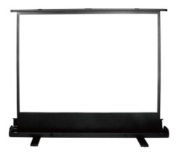 Экран Cactus 150x200см FloorExpert CS-PSFLE-200X150 4:3 напольный рулонный