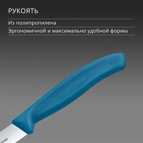 Нож кухонный Victorinox Swiss Classic (6.7702.C1) стальной универсальный для чистки овощей и фруктов лезв.100мм прямая заточка синий