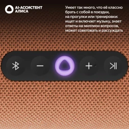 Умная колонка Yandex Стрит Алиса оранжевый 30W 2.0 BT/Wi-Fi 10м 3300mAh (YNDX-00030ORG)