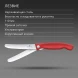 Нож кухонный Victorinox Swiss Classic 6.7801.FC1 стальной универсальный для овощей лезв.110мм прямая заточка красный карт.коробка