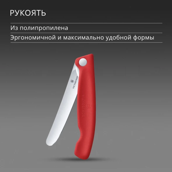Нож кухонный Victorinox Swiss Classic 6.7801.FC1 стальной универсальный для овощей лезв.110мм прямая заточка красный карт.коробка