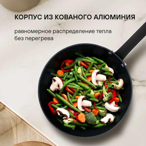 Сковорода Rondell Evolution-R RDA-798 круглая 28см покрытие: Evolution ручка несъемная (без крышки) графитовый