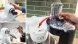 Кухонная машина Bosch MUMS6EW00 планетар.вращ. 1600Вт белый
