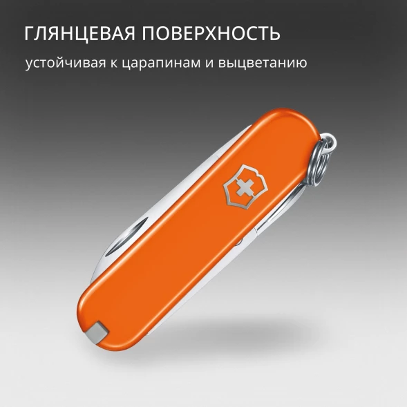 Нож перочинный Victorinox Classic SD Mango Tango (0.6223.83G) 58мм 7функц. подар.коробка