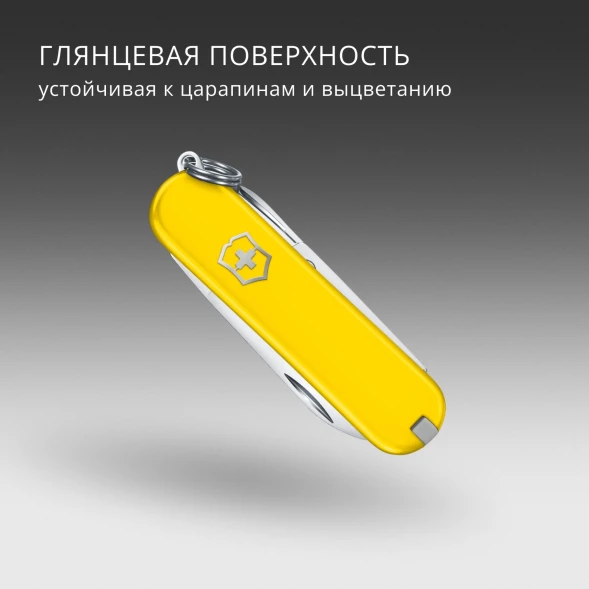 Нож перочинный Victorinox Classic SD Sunny Side (0.6223.8G) 58мм 7функц. подар.коробка