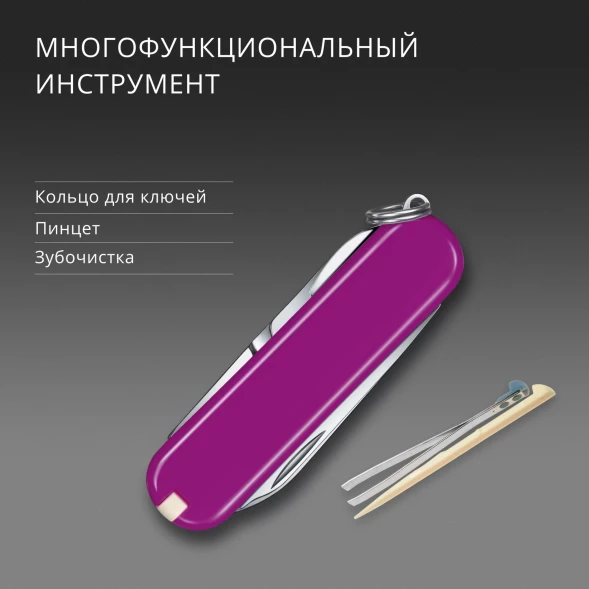 Нож перочинный Victorinox Classic SD Tasty Grape (0.6223.52G) 58мм 7функц. подар.коробка