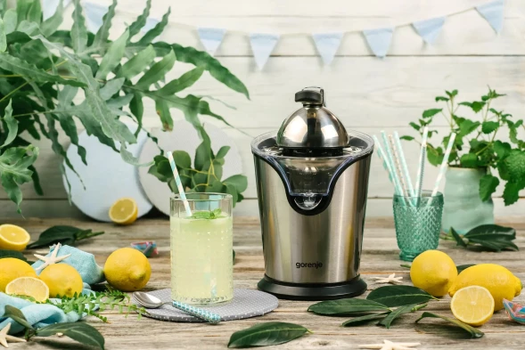 Соковыжималка цитрусовая Gorenje CJ100HE 100Вт нержавеющая сталь